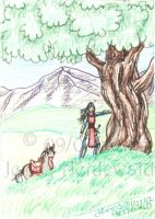 Oak Strength